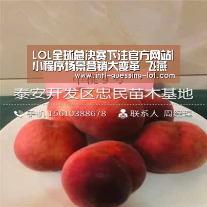  LOL全球总决赛下注官方网站|小程序场景营销大变革  飞燕