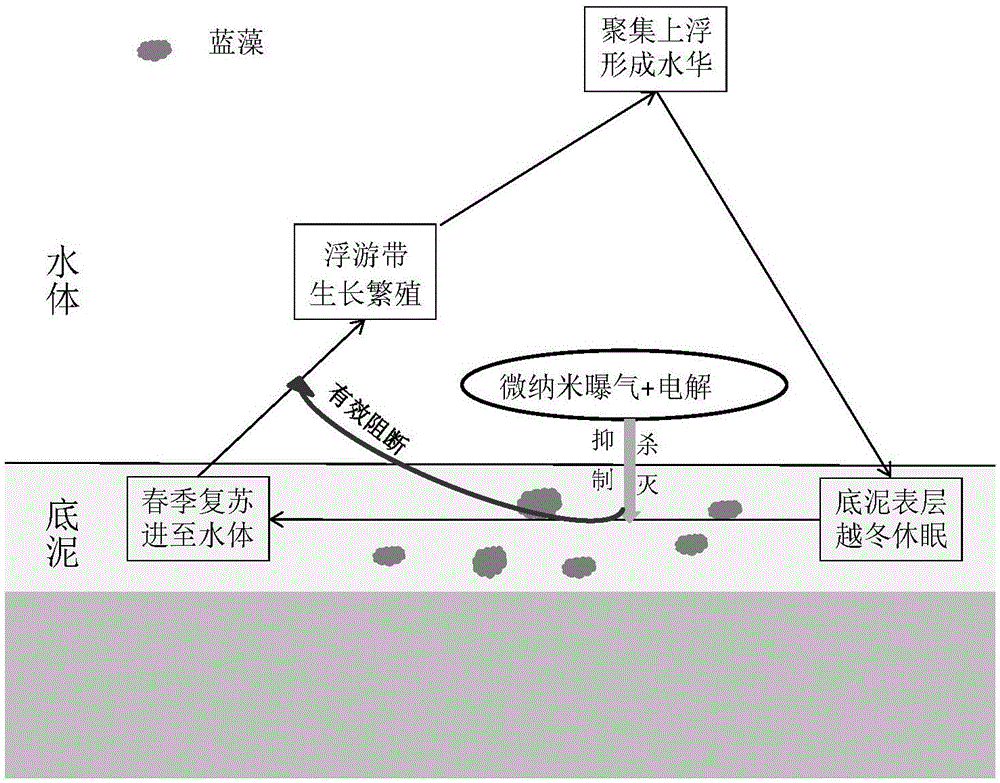 英雄联盟竞猜大厅 |【品牌资讯】聚合优量,腾讯广告联盟开启流量生态进阶之路(图2) LOL全球总决赛下注官方网站