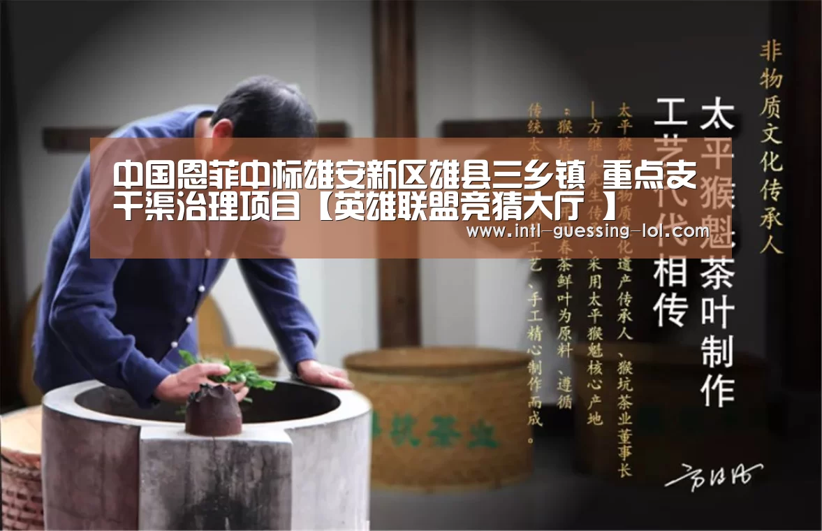 中国恩菲中标雄安新区雄县三乡镇 重点支干渠治理项目【英雄联盟