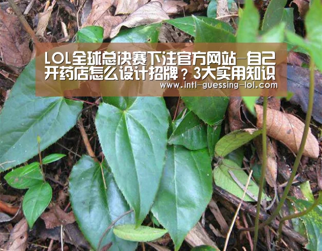 LOL全球总决赛下注官方网站-自己开药店怎么设计招牌?3大实用知识点,帮你聚集超高人气(图2) LOL全球总决赛下注官方网站