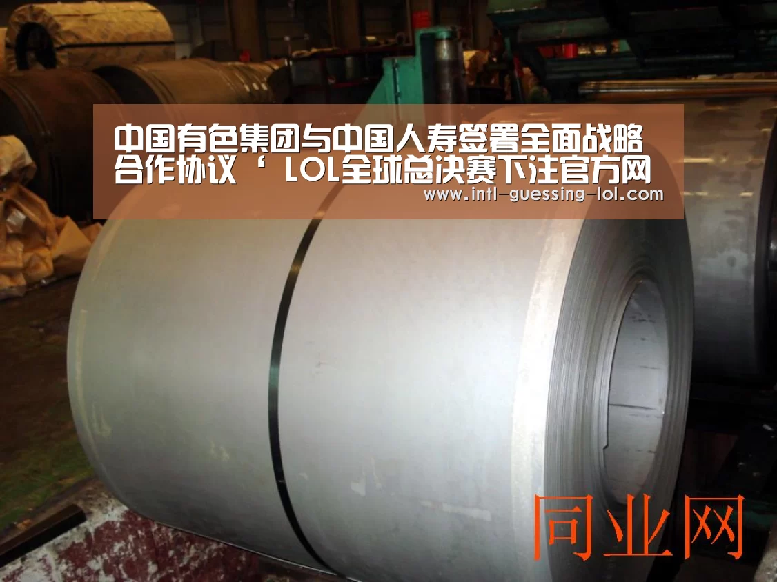 中国有色集团与中国人寿签署全面战略合作协议‘ LOL全球总决赛下注官方网站’(图2) LOL全球总决赛下注官方网站